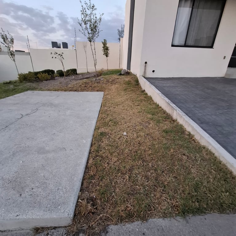 jardin seco sin acceso a agua