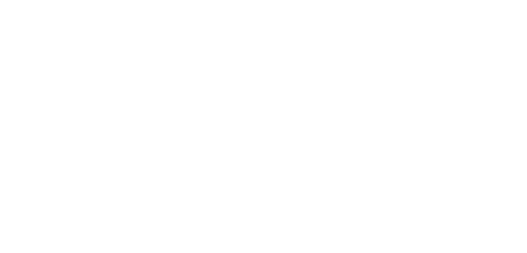 NourishNow logo