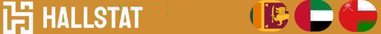 hallstatconsult.com logo