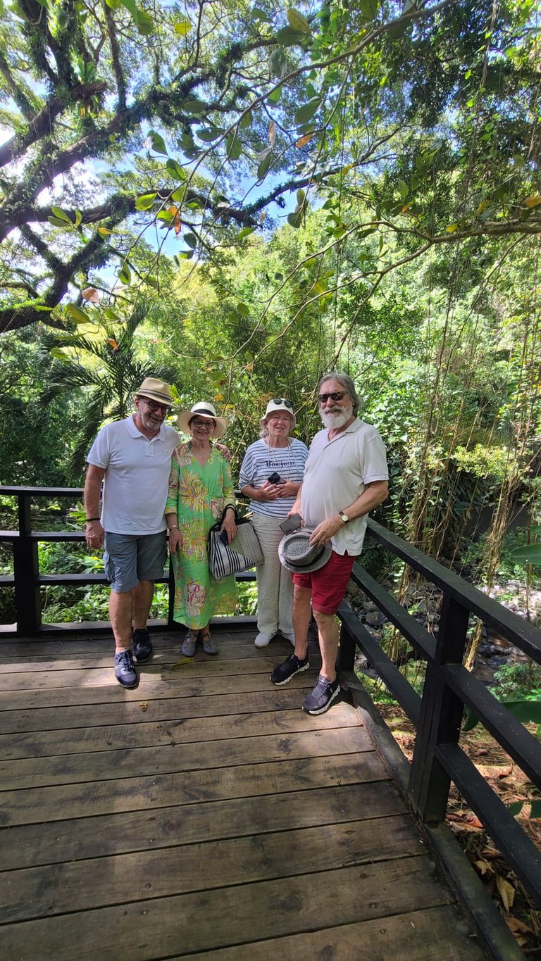 Tourists enjoying the scenic beauty at Annandale Waterfalls