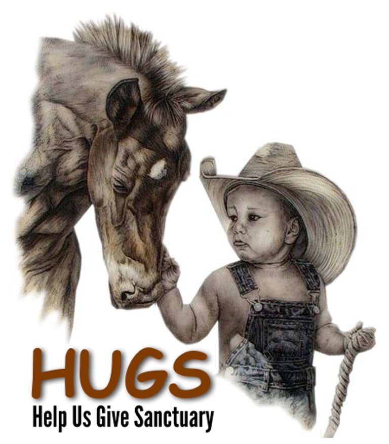 Hugs2Horses logo