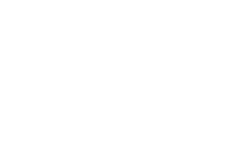 Streetdreamsproductions logo