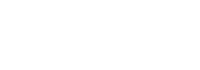 Cara Snower Photography logo