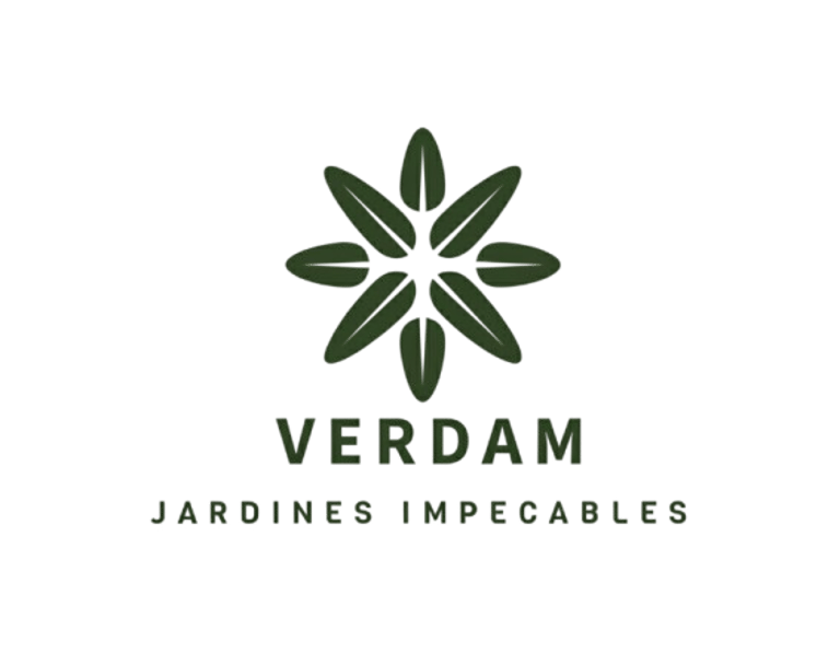 Verdam logo
