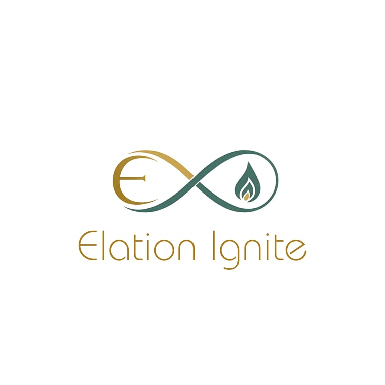 Elation Ignite LLC logo