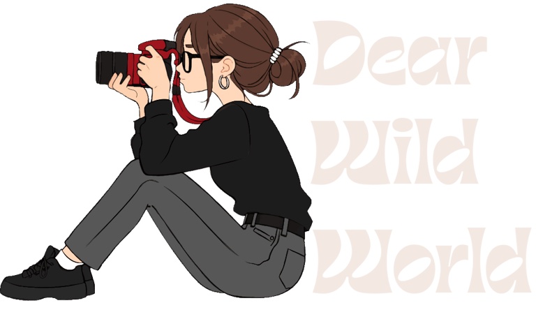 Dear Wild World logo