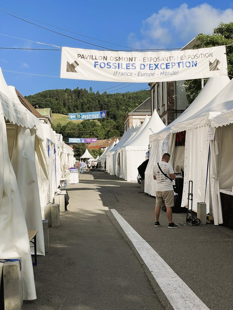 Weißes Ausstellerzelt auf der Fossilienmesse Sainte-Marie