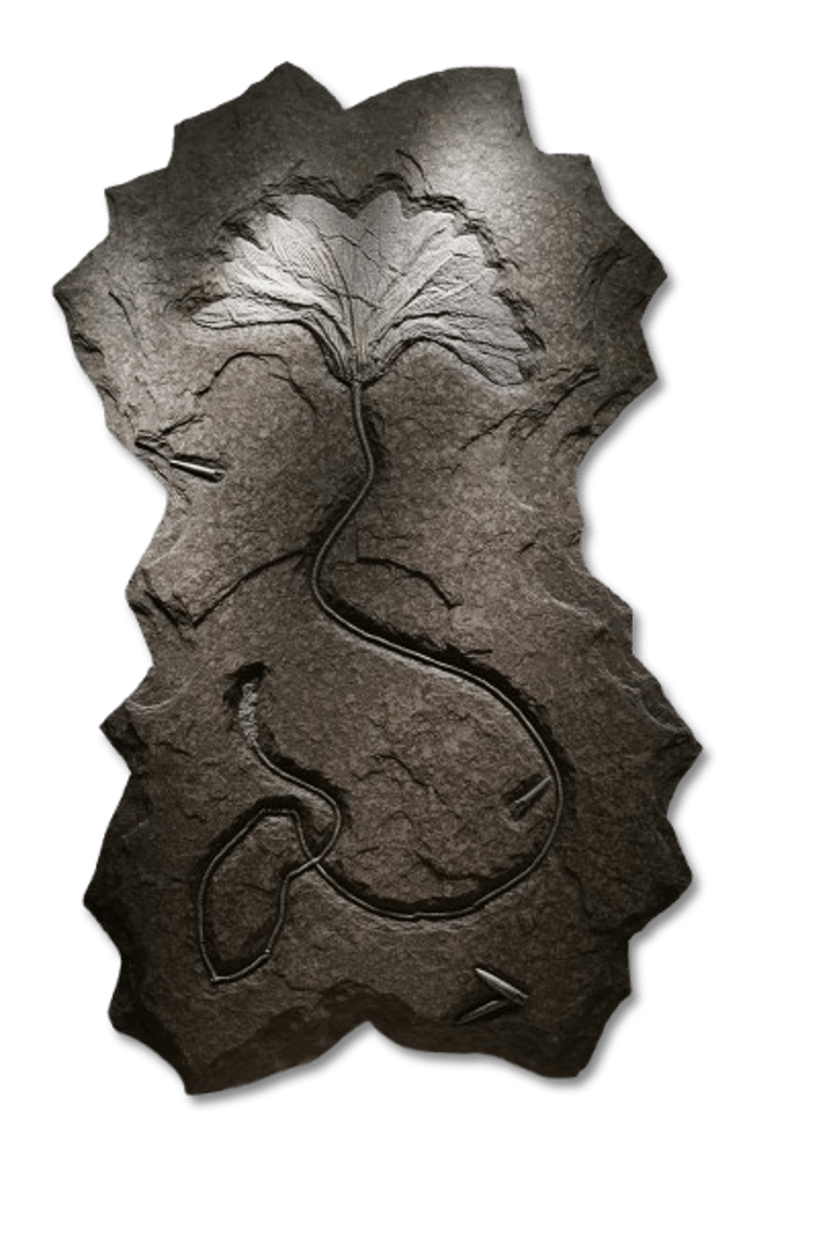 Fossil einer Seelilie aus Holzmaden auf Ölschieferplatte