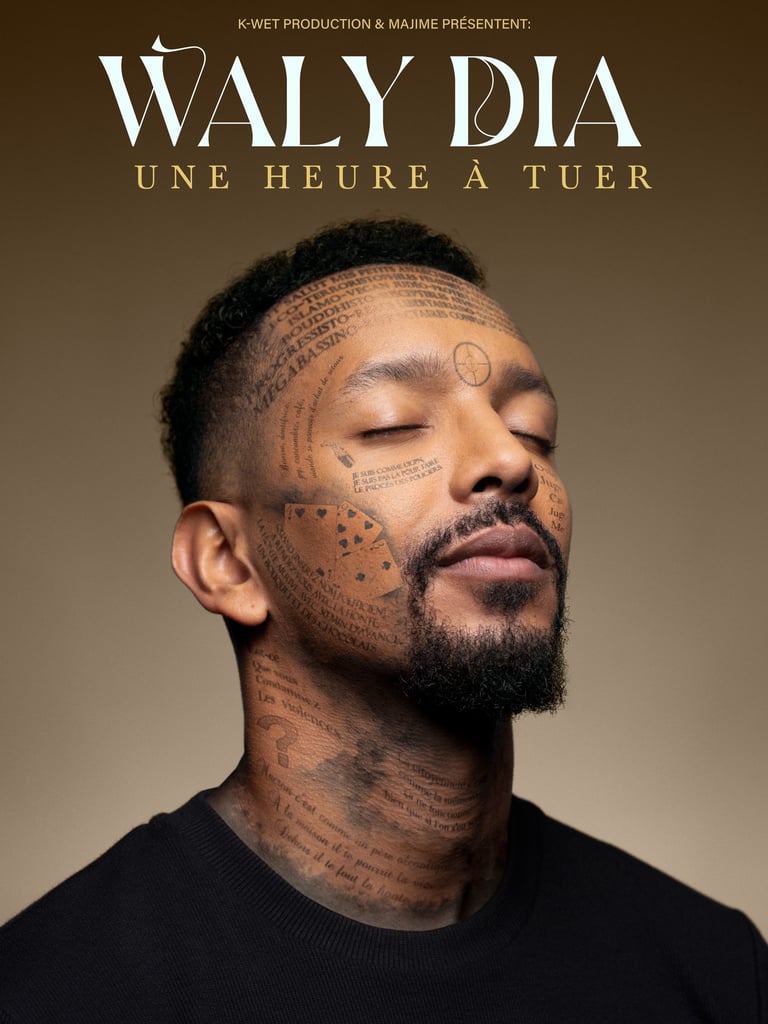 Photographie de portrait utilisée pour une affiche artistique de Waly dia