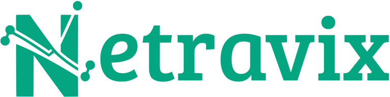 Netravix logo