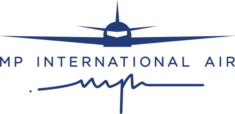 BrisaNexa logo
