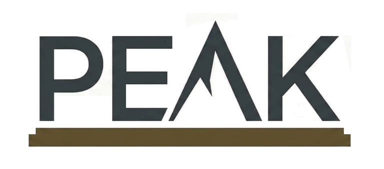 Peak Scholarly Solutions logo