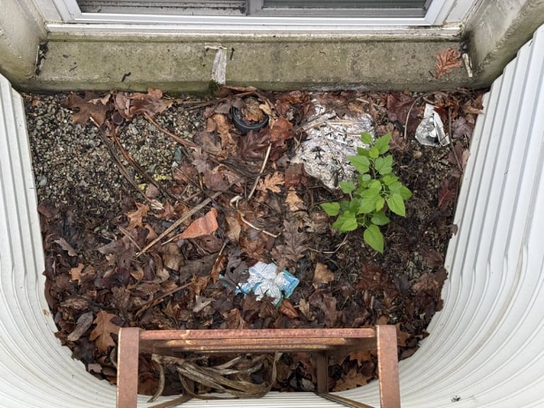 Inside of window well filled with leaves, debris, and covered drainage
