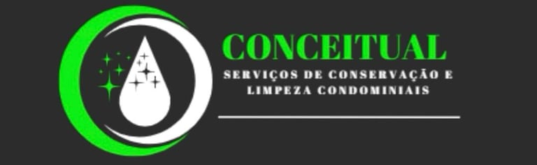 Conceitual Soluções logo