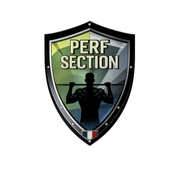 perfsection.fr logo