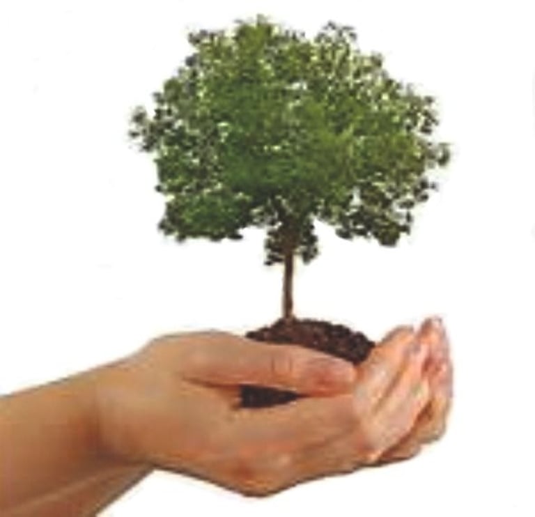 Vitalia logo