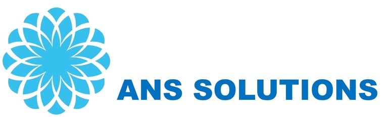 ANS Solutions logo