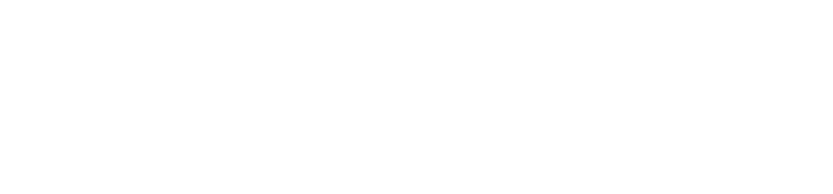 OneVoice 2027 Indonesia logo