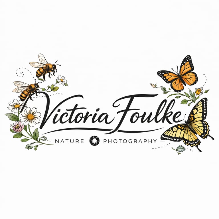 Quiet Wonders Photography logo