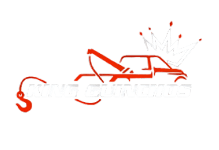 Vigília Guinchos logo