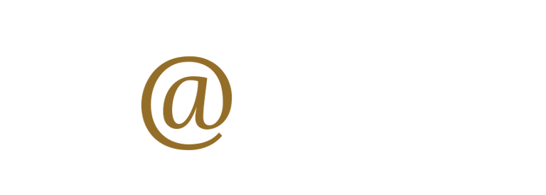 Damsis logo