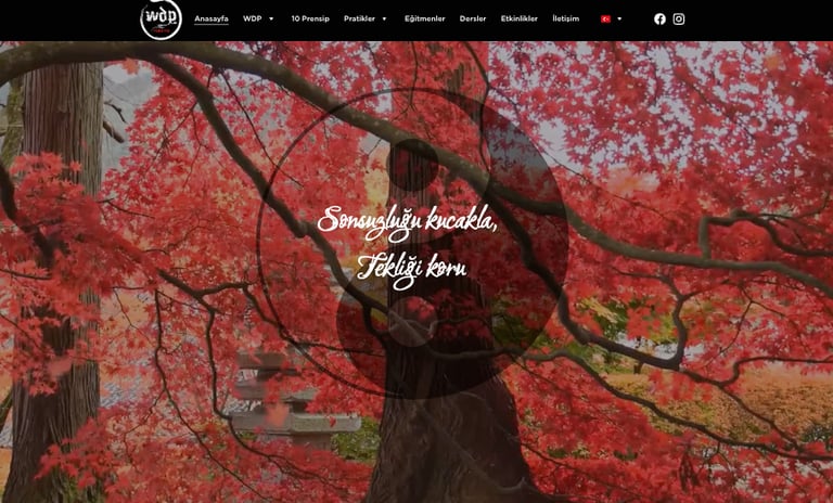 website hero section for WDP Türkiye featuring a vibrant background of red maple leaves