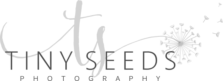 LuxeNest Photography logo