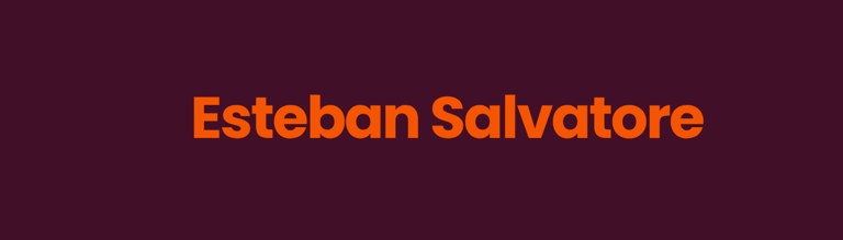 Salvatore Negocios Inmobiliarios logo