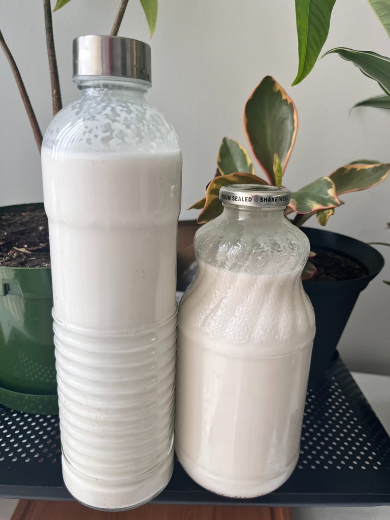 Two glass bottles filled with fresh homemade coconut milk next to indoor potted plants.