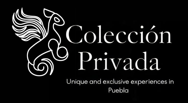Colección Privada logo