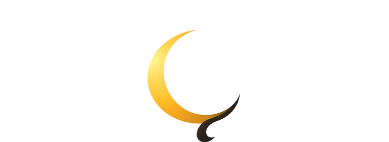 Moon Translation & Communications logo