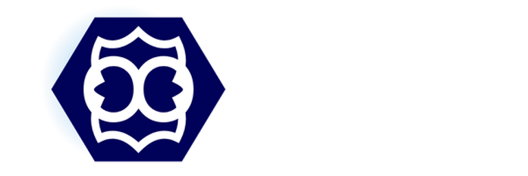 SDS HUb 360 - Latam logo