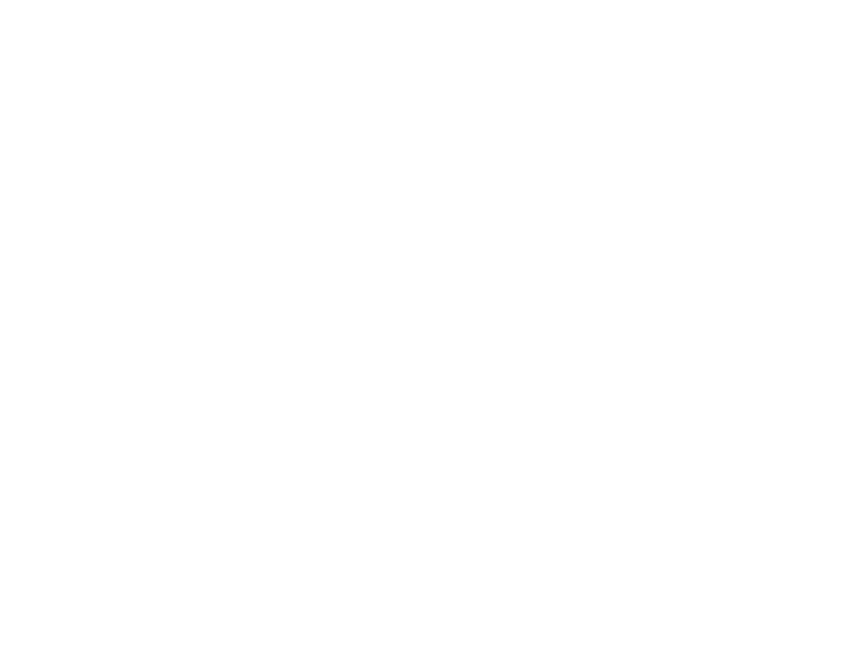 VitalProBreeze logo