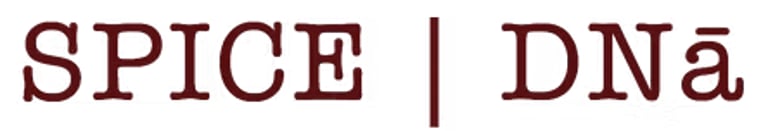Spice DNa logo