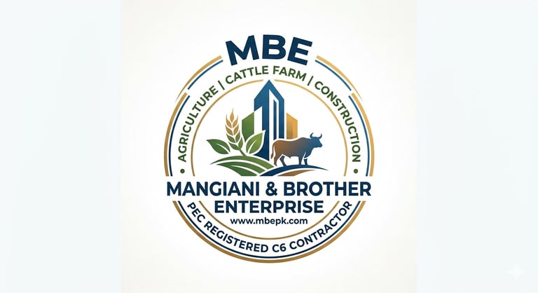 Mangiani and brother enterprise  logo