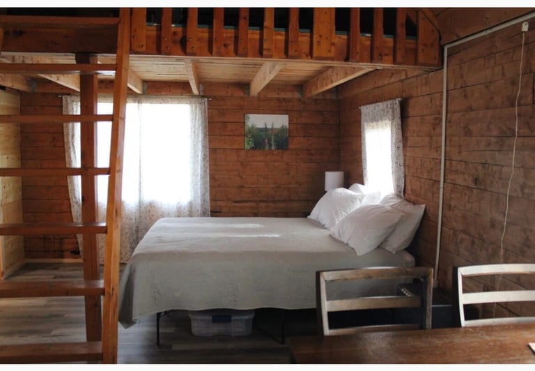 Brown Bear Bed