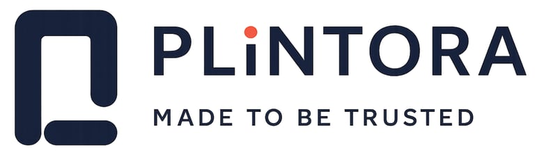 Plintora Projects logo