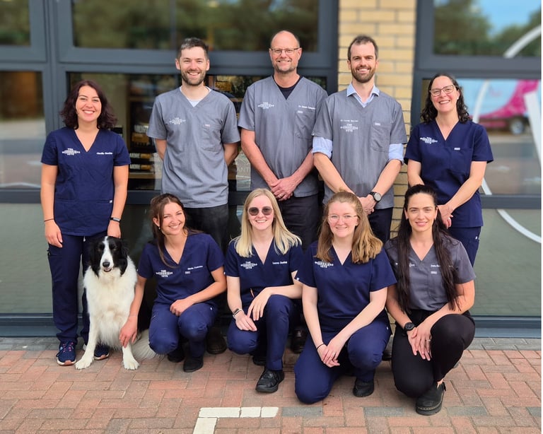 Award-winning The Woodbridge Vets - Reason Marketing Marketing Consultant