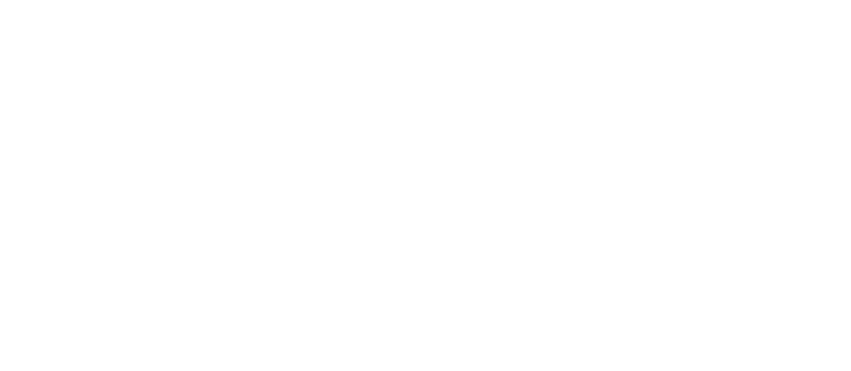 Porto Flowers bouquet delivery logo