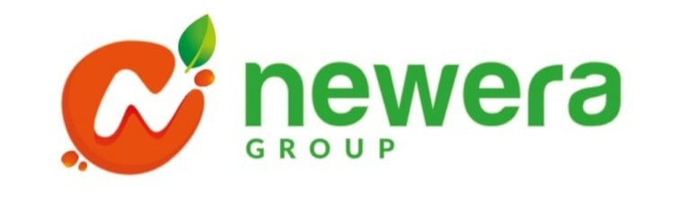 new era groupe logo