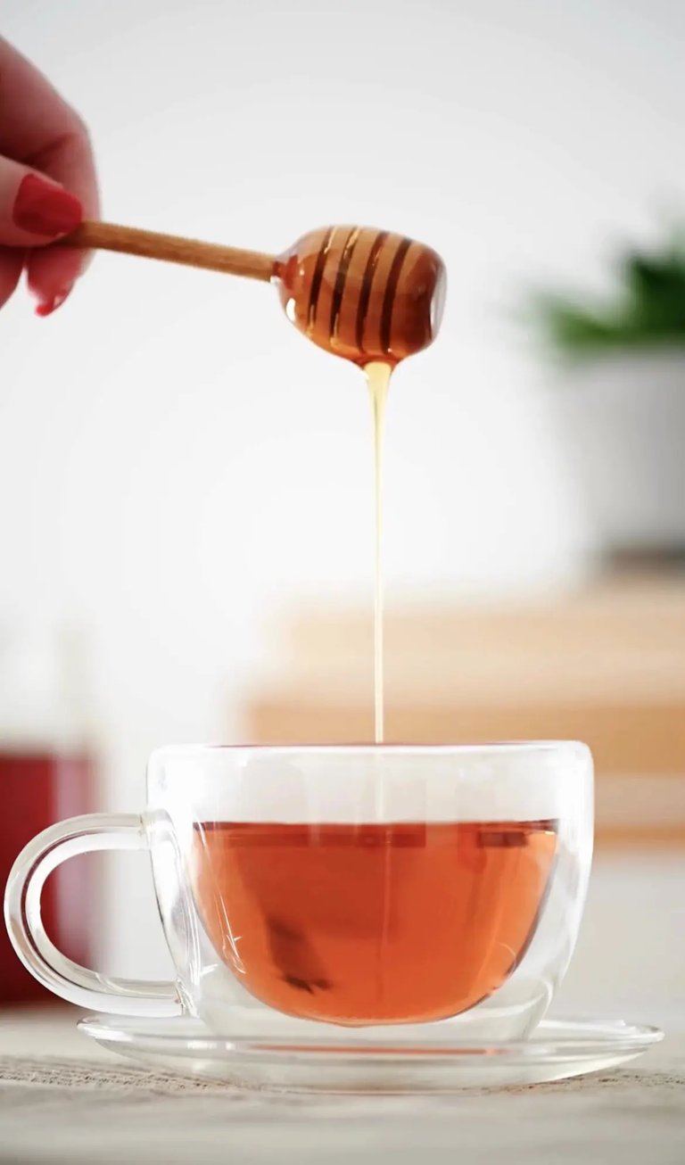 stingless bee honey ancient gift farm