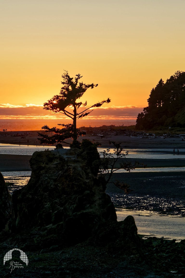 The Oregon Quiet