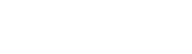 space-page logo