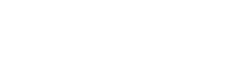 space-page logo