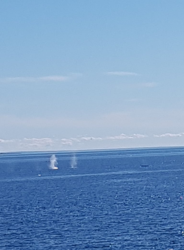 tadoussac