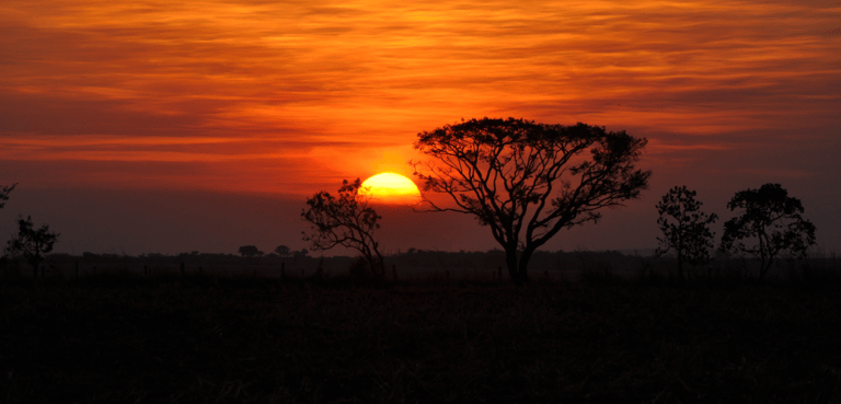 Sanaa Melanin Body Care logo