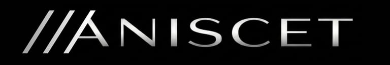 ANISCET logo