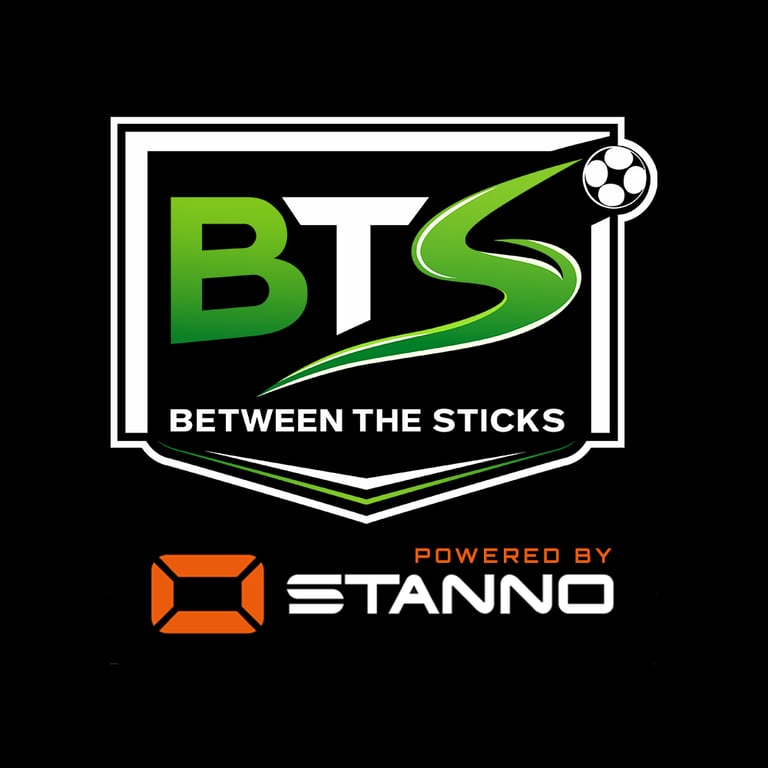 Between The Sticks logo