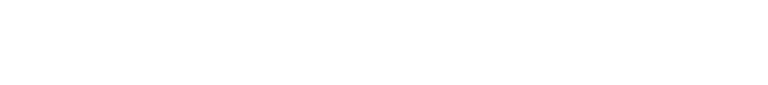 NOVUM logo