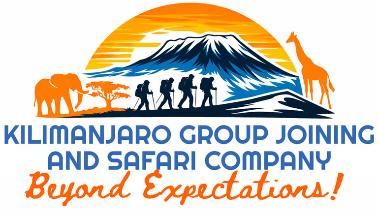 Kilimanjaro Group Joining and Safari Company logo